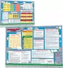 Українська мова 1-4 клас. Килимок навчальний. А3 формату (420х297 мм) (Укр) Зірка 134167 (9786176342014) (452552)