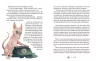 36 і 6 котів-рятувальників. Галина Вдовиченко (Укр) ВСЛ (9786176798798) (458852)