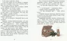 Казки з усього світу Два брати (Укр) Ранок С915005У (9786170960863) (350853)
