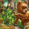 Книга на картоні Милі звірятка (нові): ведмедик (р) Ранок А582012Р (9789667489748) (293054)