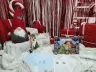 Адвент-пазл-квест-календар. Знайомство з тваринами Карпат (Укр) Час майстрів (9789669153555) (473355)