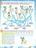 Activity book. Зимові забави 8 + Основа АКБ003 (9786170036094) (312857)