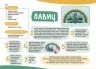 Мої перші малюнки. Альбом для дітей 3-4 роки. Кольоровий світ. Фролова-Чередняк К. (Укр) 4MAMAS (9786170042897) (516058)