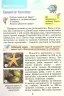 НУШ Я досліджую світ 4 клас Підручник Частина 2 Гільберг (Укр) Генеза (9789661111713) (470460)