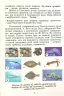 НУШ Я досліджую світ 4 клас Підручник Частина 2 Гільберг (Укр) Генеза (9789661111713) (470460)