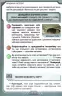 НУШ Я досліджую світ 4 клас Підручник Частина 1 Грущинська (Укр) Оріон (9789669911179) (470461)