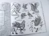 Книга мiфiчних чудовиськ. Розмальовка (Укр) Жорж Z101029У (9786177579136) (288662)