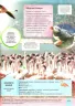 Дитяча енциклопедія тварин (Укр) Vivat (9789669425751) (298762)