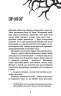 Королівство Нечестивих. Книга 1 – Керрі Маніскалко (Укр) BookChef (9786175482247) (513564)