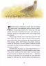 Книга Класика в ілюстраціях: Червона Шийка (у) Ранок S688004У (978-617-09-2906-8) (267264)