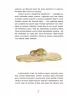 Книга Класика в ілюстраціях: Червона Шийка (у) Ранок S688004У (978-617-09-2906-8) (267264)