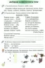 НУШ Українська мова 2 клас. Робочий зошит «Застосовую знання» (Укр) Оріон (9786177355976) (345665)