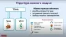 НУШ Мистецтво 2 клас. Підручник. Рубля Т.Є. 2024 (Укр) Ранок (9786170990174) (516267)