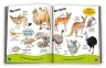 Тварини. Моя перша книжка. Ніка Афія (Укр/Англ) КМ-Букс (9789669481184) (508869)