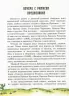Нові Казки дядечка Римуса або Братик Кролик братик лис і всі-всі-всі повертаються (Рос) Vivat (9789664292594) (283870)
