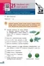 НУШ Пізнаємо природу 6 клас. Робочий зошит. До модельної навчальної програми Коршевнюк 2024 (Укр) Ранок (9786170990365) (516870)