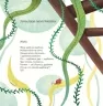 Лізла жаба по драбині. Дерманський С. (Укр) ВСЛ (9789664481882) (508473)