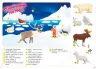 Книга Funny english Північний полюс Фісіна Торсінг (9789669396051) (348773)
