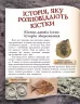 Шкільна енциклопедія Від мавпи до людини (Укр) Ранок Ш152002У (9786170916679) (218874)