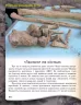 Шкільна енциклопедія Від мавпи до людини (Укр) Ранок Ш152002У (9786170916679) (218874)