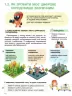 НУШ Інформатика 5 клас. Підручник. Козак Л. (Укр) Літера (9789669453518) (483778)