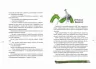 Шкарпеткожери повертаються Книга 2 (Укр) Школа (9789664294604) (287778)
