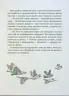 Гра в індіанців, або Ніколи не смійся з крокодила. Воронина Л. (Укр) Vivat (9789669829139) (506879)