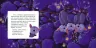 Книга Спати час. Баю-бай, звірята (Укр) Кенгуру КН922003У (9786170943057) (297181)