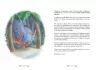 Слоненя, яке хотіло заснути. Карл-Йохан Форсен Ерлін (Укр) Артбукс (9786177688227) (474582)