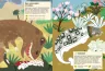 Книга з наліпками Ера динозаврів Ранок С849004У (9786170941008) (289983)
