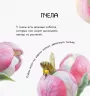 Книга Знайомі комахи Ранок S934001Р (9786170940797) (292586)