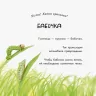 Книга Знайомі комахи Ранок S934001Р (9786170940797) (292586)