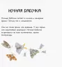 Книга Знайомі комахи Ранок S934001Р (9786170940797) (292586)