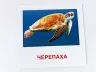 Картки міні Морські жителі (110х110 мм) Зірка 72752 (9789663336053) (286286)