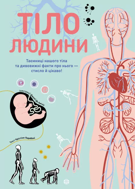 Тіло людини. Таємниці нашого тіла та дивовижні факти про нього - стисло й цікаво! Кристина Перабони. Енциклопедія (Укр) Жорж Z104027У (9786177853199) (465388)