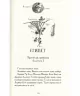 Мій братик мумія і золотий скарабей Книга 1 (Укр) А-ба-ба-га-ла-ма-га (9786175851678) (324289)