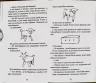 Маленький принц. Сент-Екзюпері Антуан (Укр) Богдан (9789661041065) (458589)