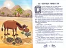 Чому і як? Такі собі казочки (Укр) Школа (9789664295403) (398989)