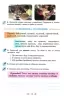 НУШ Малюю словом 4 клас. Зошит з розвитку мовлення. Пономарьова К. (Укр) Оріон (9789669911421) (463390)