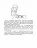 E-BOOK. Історії порятунку. Котячі пустощі. Спецвидання перше. Люсі Деніелс (Укр) АССА (9786177670505) (492393)