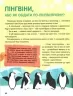 Енциклопедія у казках. Пилипенко О., Воронкова Я. (Укр) Vivat (9789669829511) (494593)