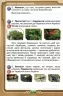 НУШ Я досліджую світ 4 клас. Робочий зошит. Частина 2. Грущинська І.В. (Укр) Оріон (9789669911292) (467093)