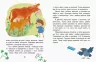 Казки-хвилинки 5+ Кумедні діточки Читаємо 5 хвилин (Укр) Кенгуру КН823001У (9786170936707) (275294)