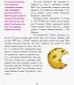Енциклопедія Дівчата думають про все на світі Розповіді про винаходи зроблені жінками (Укр) Ранок Ч901454У (9786170945129) (312296)
