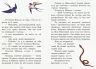 Коралові казки Золоті казки (Укр) Сонечко Ч1223011У (9786170955319) (346596)