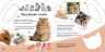 Книга з наліпками Мі-мі-мі торбинка. Котики (Рос) Ранок С1055003Р (9789667493981) (310297)