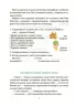 Таємниці, розкриті рудим Мафіозі. 8–9 років. Читанка-детектив із завданнями. Веселий тренажер. Ключ Ю. (Укр) Основа (9786170041241) (486197)