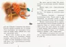 Коралові казки Казки Світу (Рос) Сонечко Ч1223019Р (9786170955333) (346598)