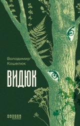 E-BOOK. Видюк – Кошелюк В.А.
