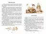 Квітка сонця Василь Сухомлинский (Укр) Школа (9789664297315) (469210)